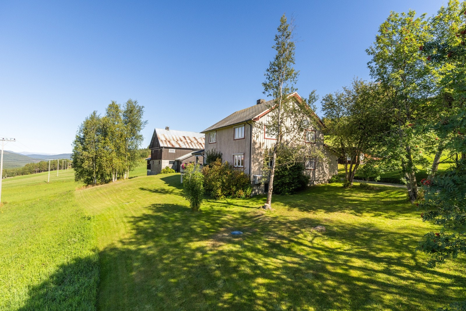Uteområdet byr på romslige grøntarealer og tumleplass for både to- og firbeinte. Galleribilde