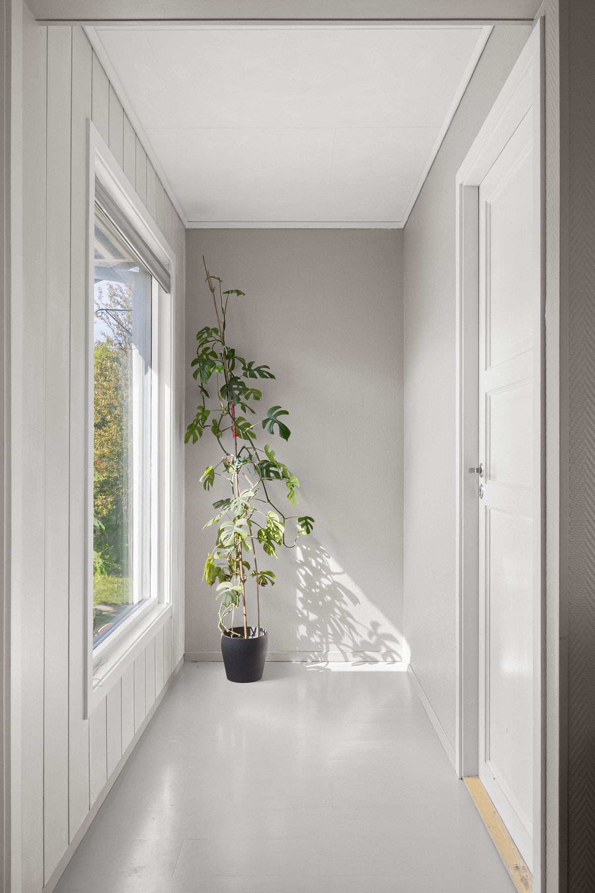 Gang utenfor soverom. Galleribilde