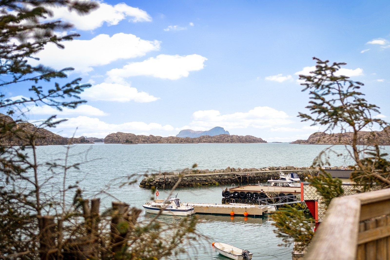 Lokal marina. Galleribilde