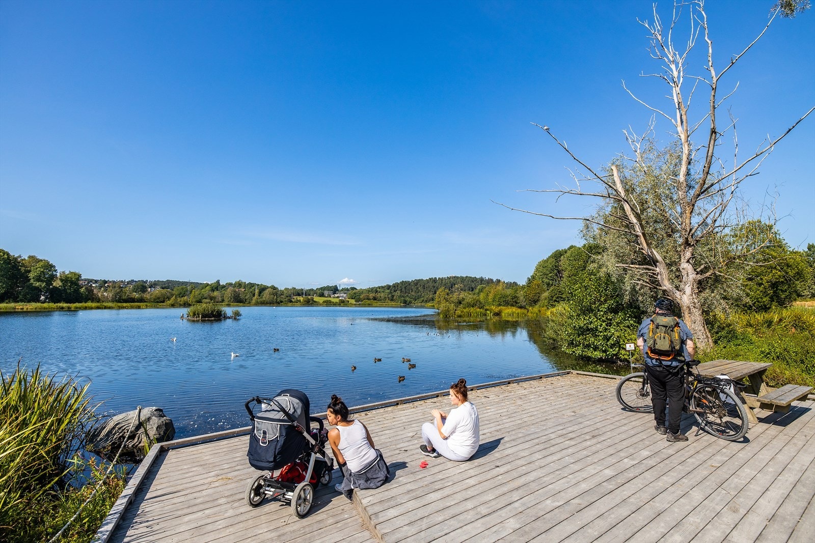 Østensjøvannet Galleribilde