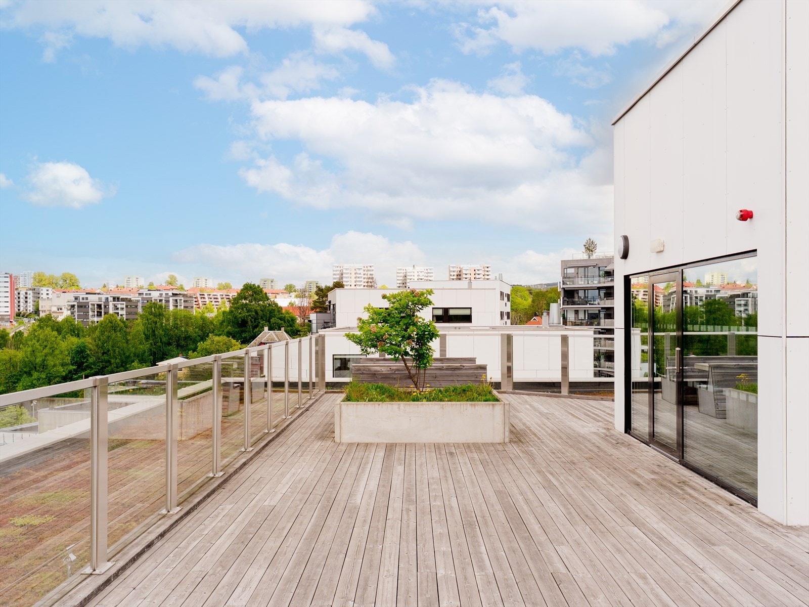 Takterrassen er pent opparbeidet med flere sittegrupper og diverse beplantning. Galleribilde