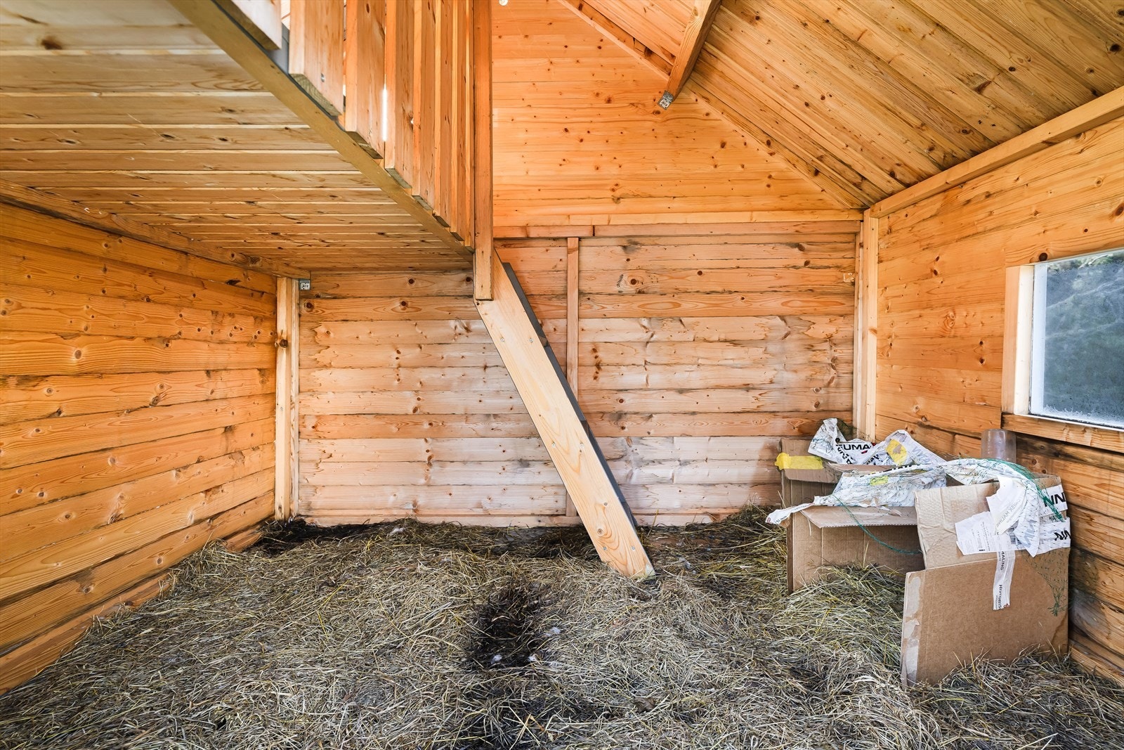 Bildet er av innvendig hundehus. Galleribilde