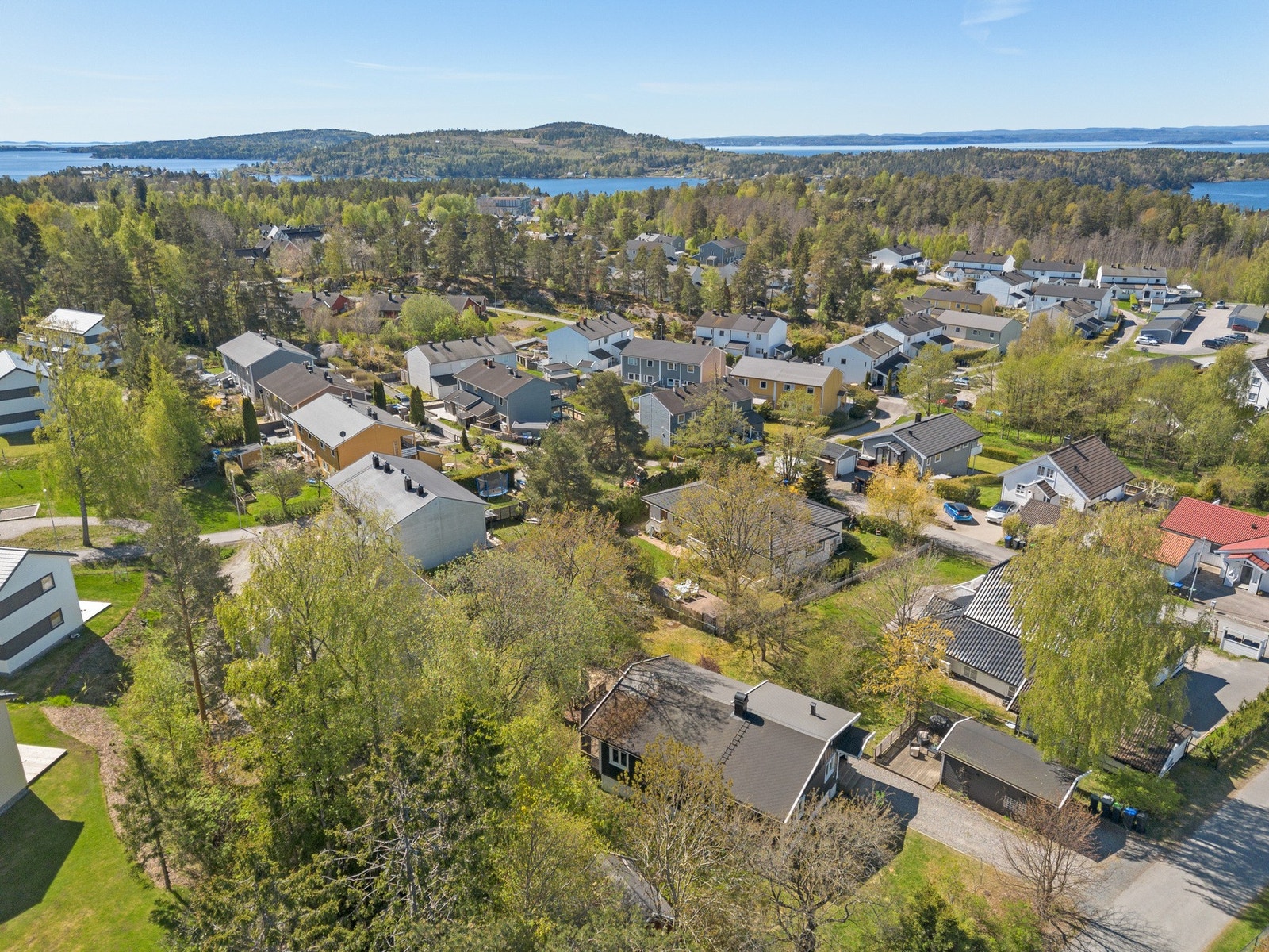 Oversiktsbilder Galleribilde
