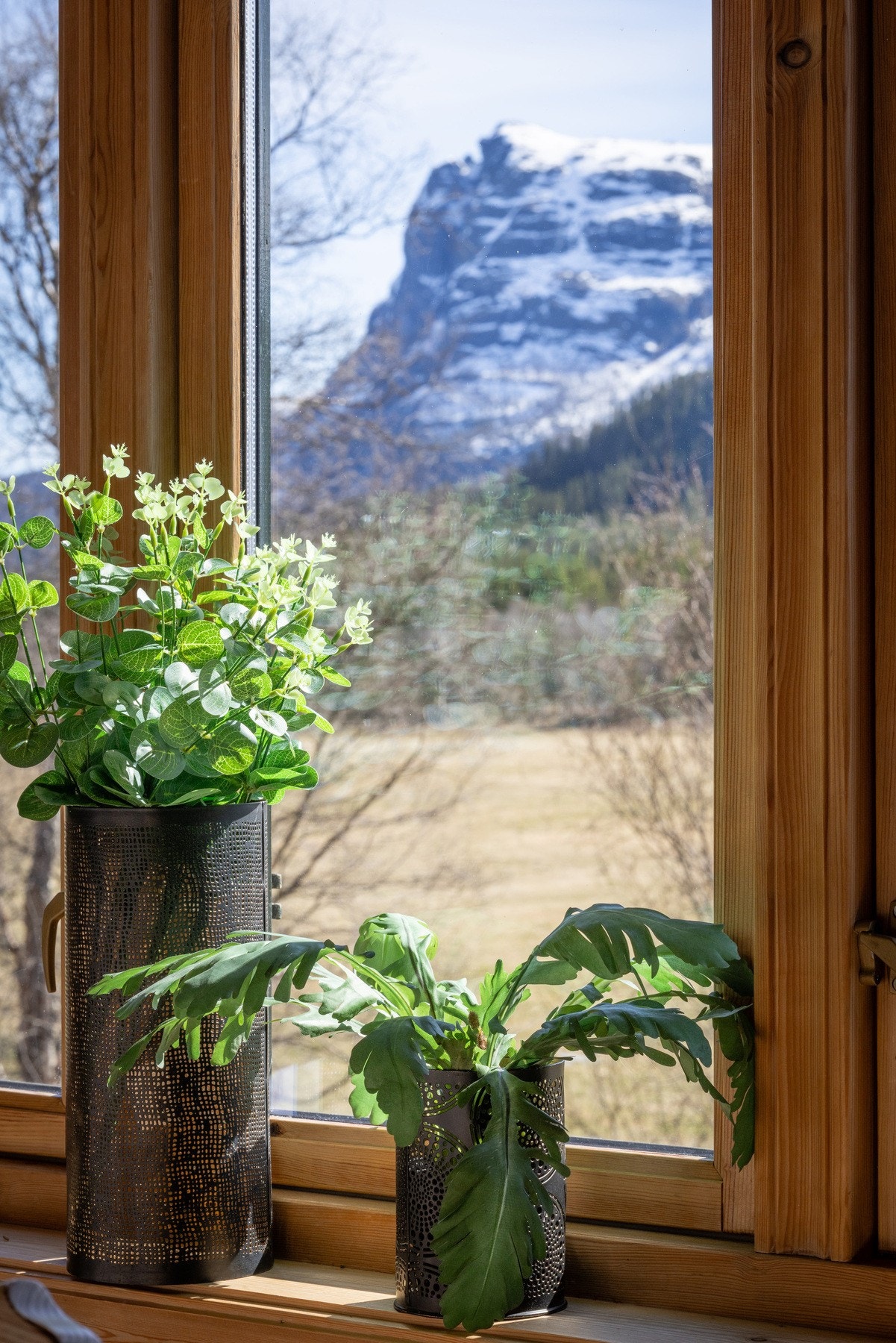 Utsikten mot fjellene gir en ro i sjelen følelse. Galleribilde