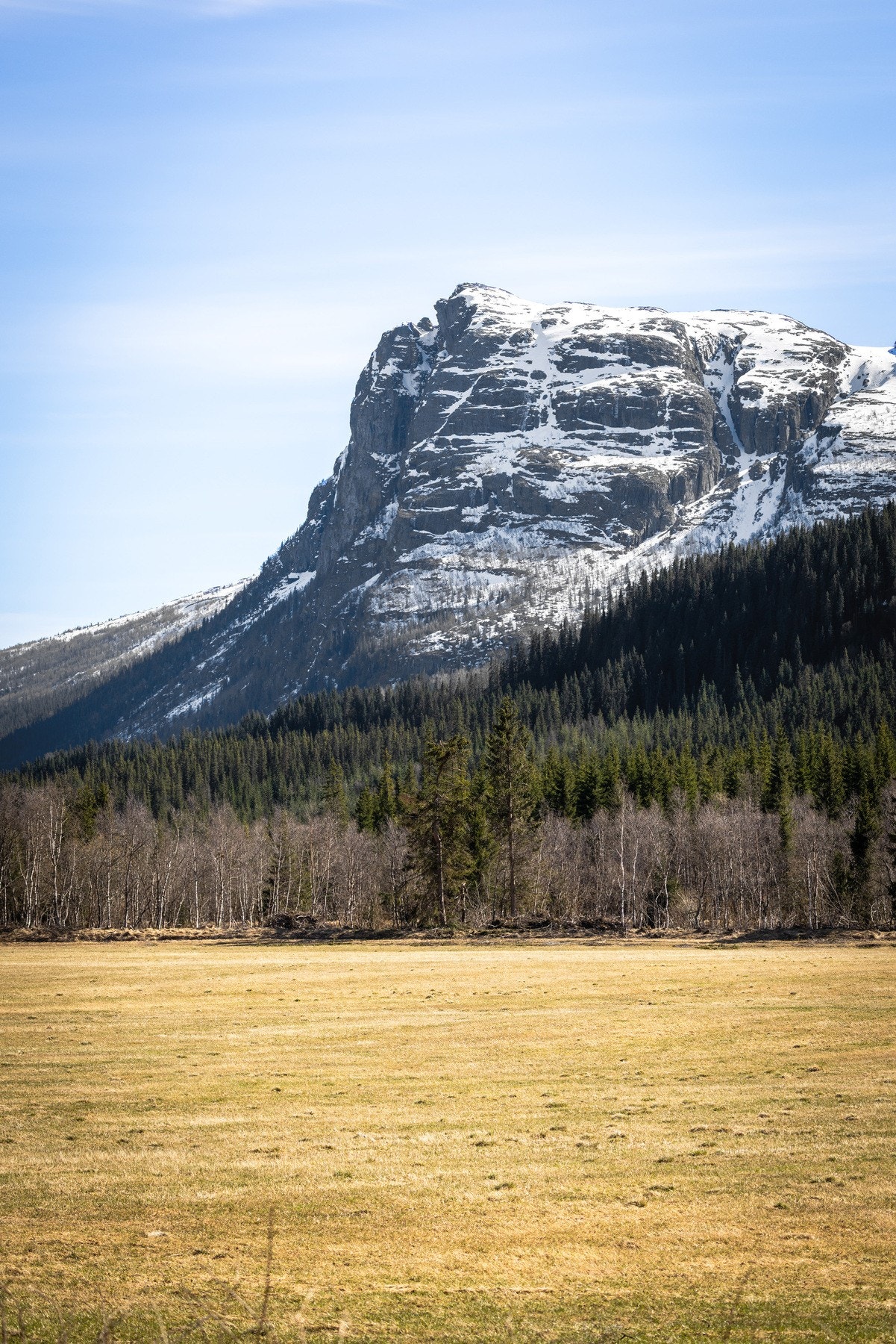 Naturen og fjellene er som en ramme rundt eiendommen. Galleribilde