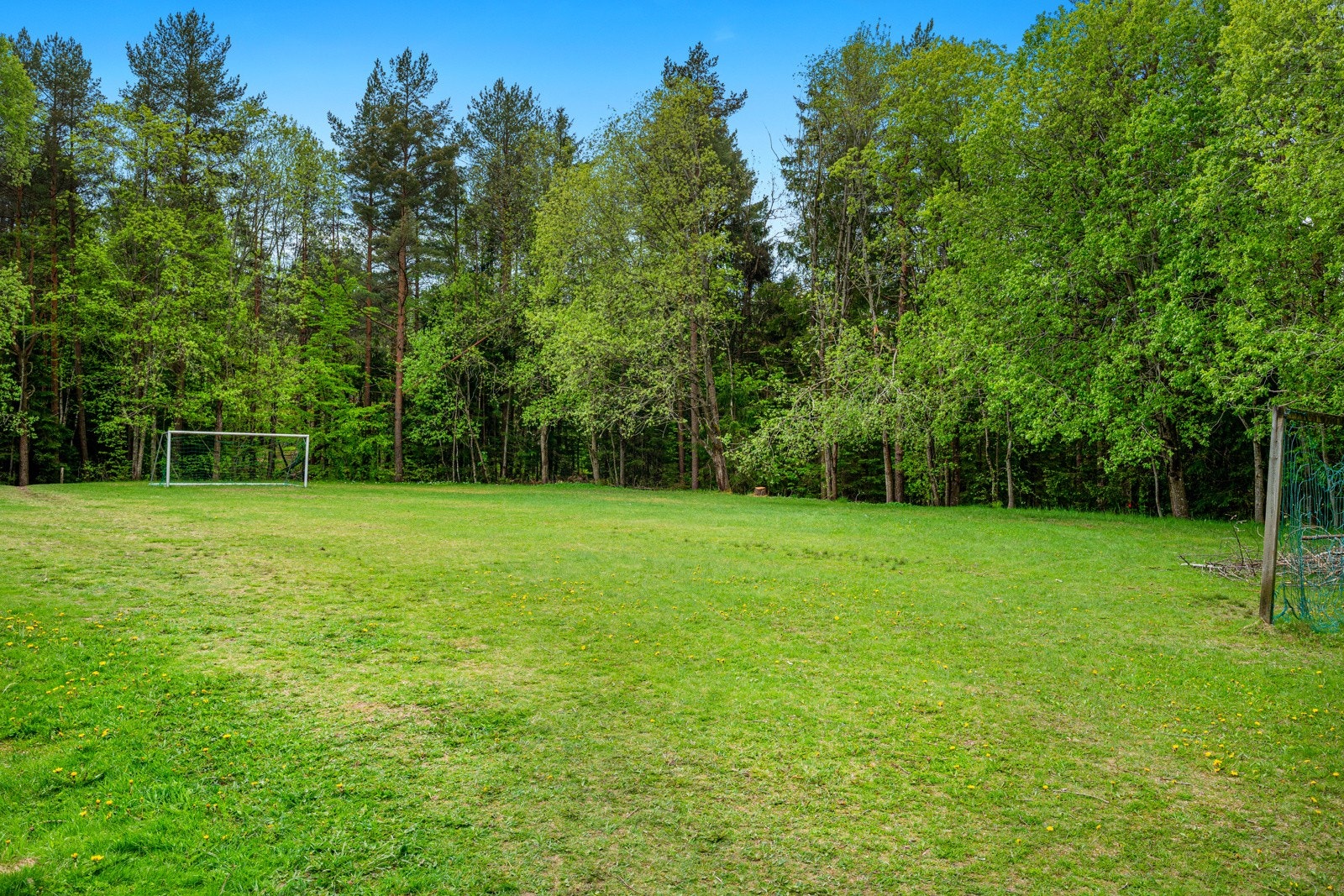 Nærmiljø Galleribilde