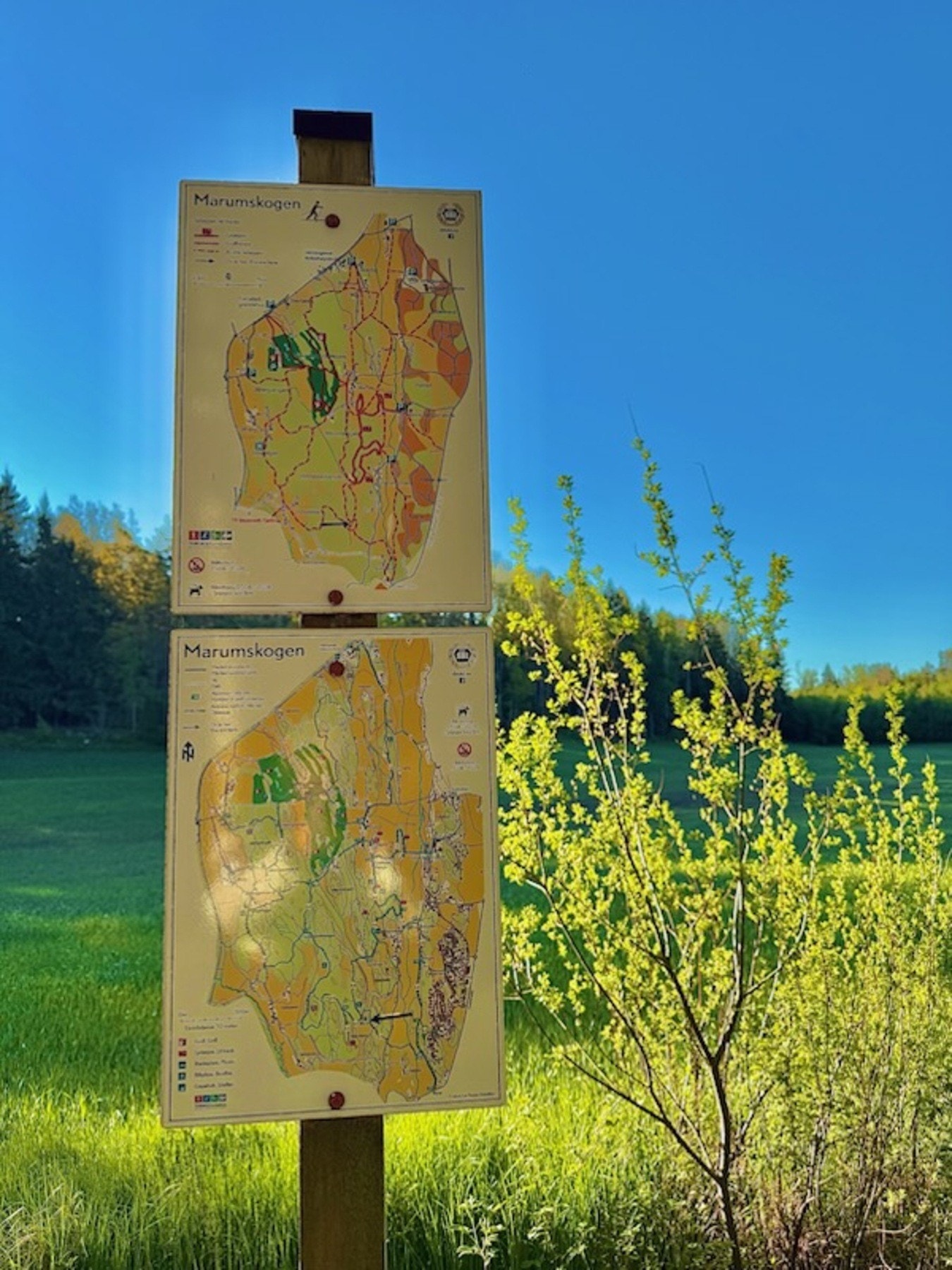 Turmuligheter i Marum, ta en joggetur eller runde med hunden Galleribilde