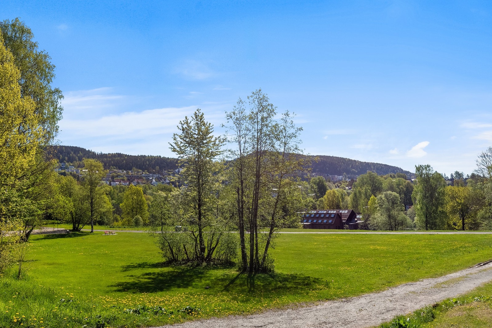 Fellesområde Galleribilde