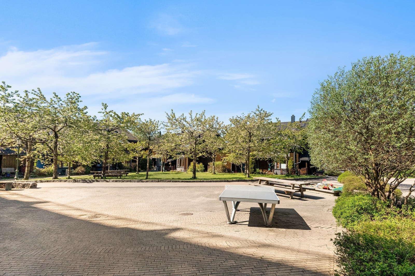 Fellesområde Galleribilde