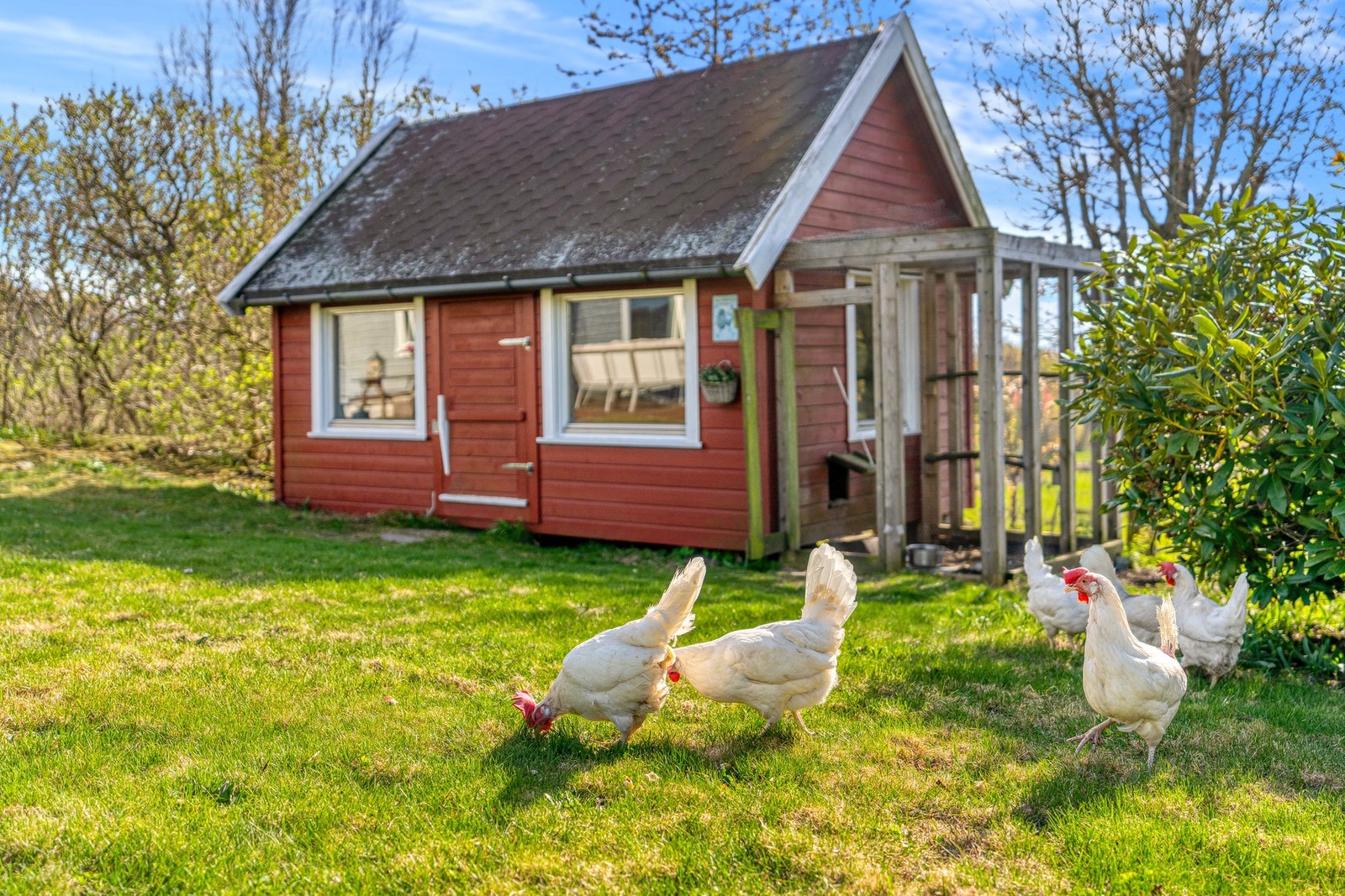Sjarmerende uthus/lekehus på eiendommen som skaper en hyggelig og landlig atmosfære i hagen. Galleribilde