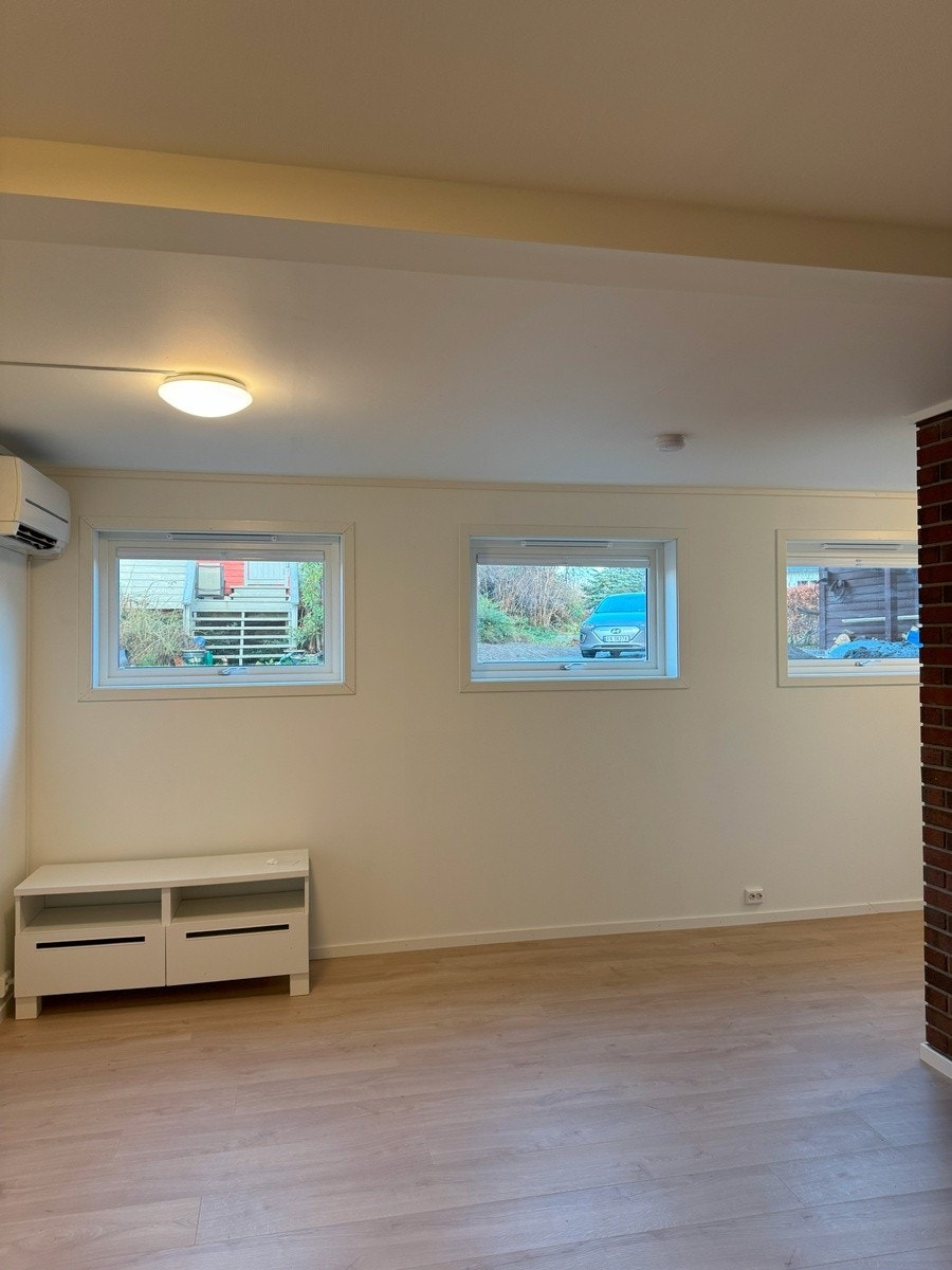 Stue. Nye vinduer og plissè. Galleribilde
