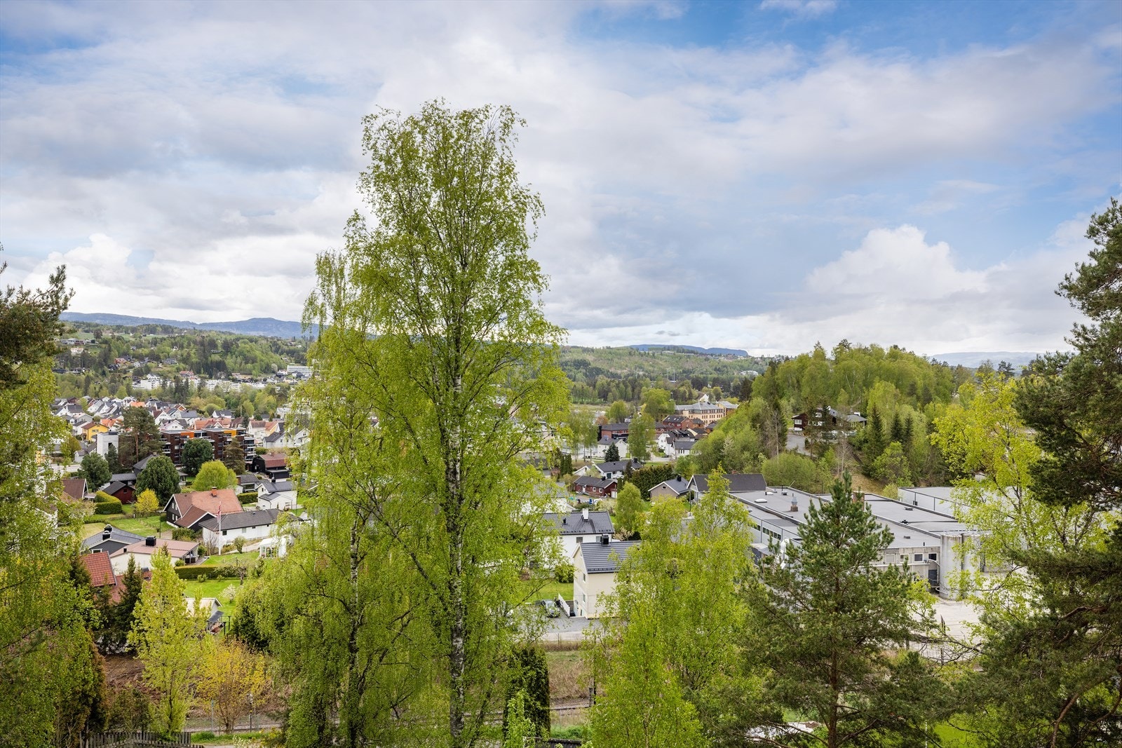 Grønne og landlige omgivelser. Galleribilde