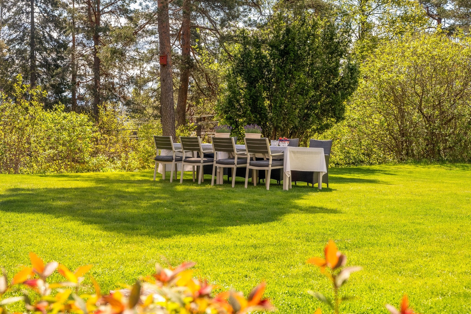 Frodig hage og gode solforhold gir flotte rammer for uteliv gjennom sommerhalvåret. Galleribilde