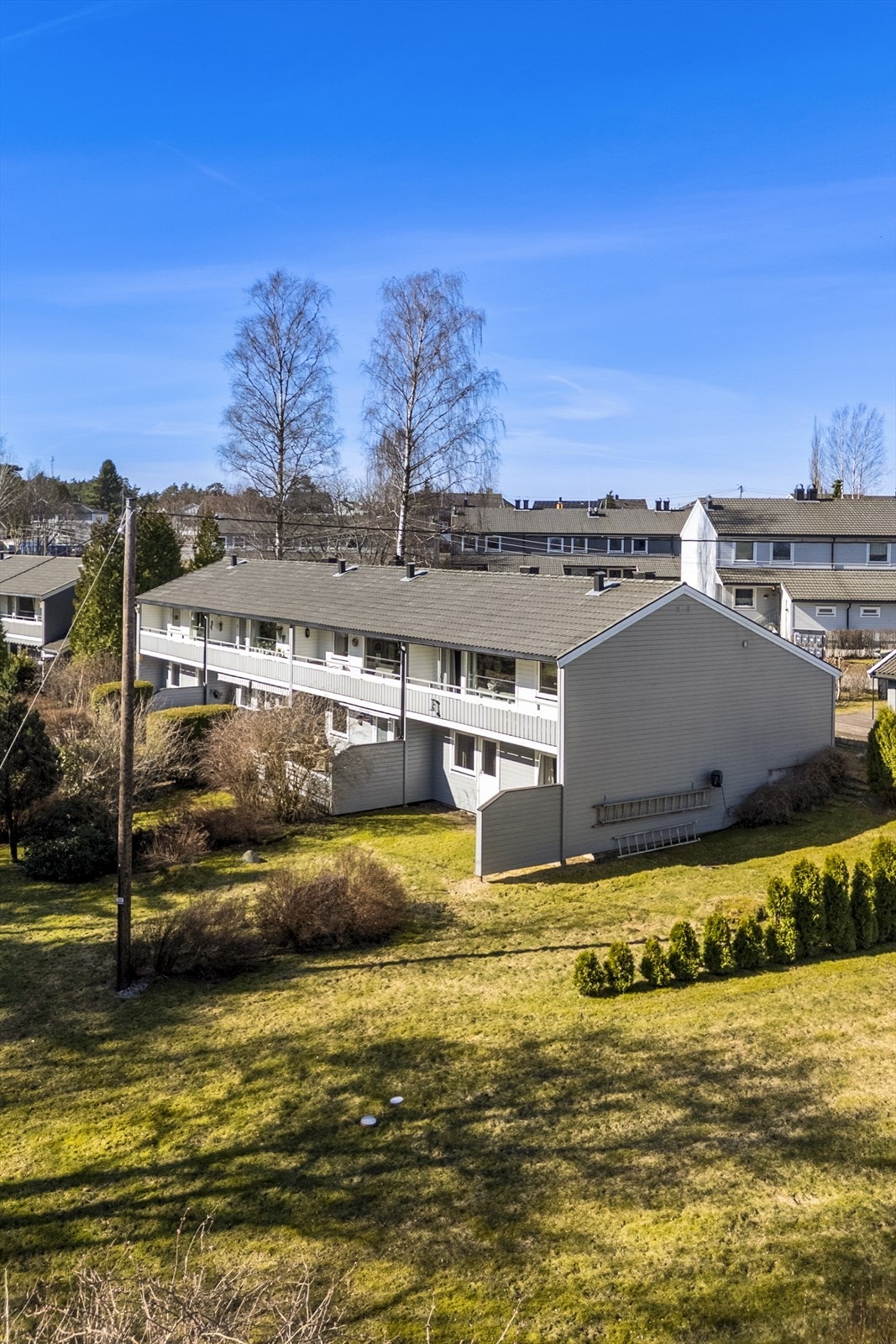 Grønne fine omgivelser Galleribilde