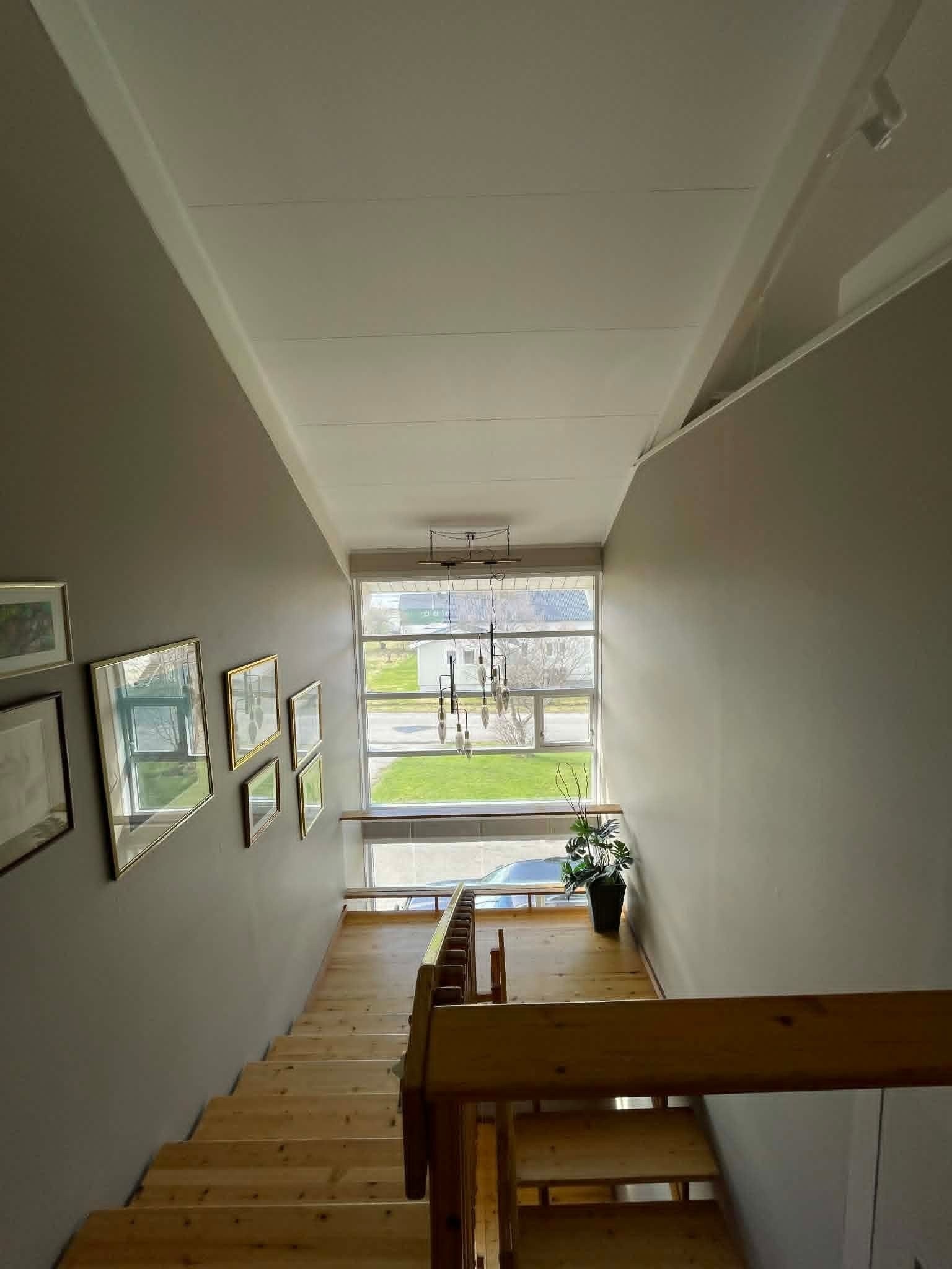 Trappeoppgang hoveddel Galleribilde