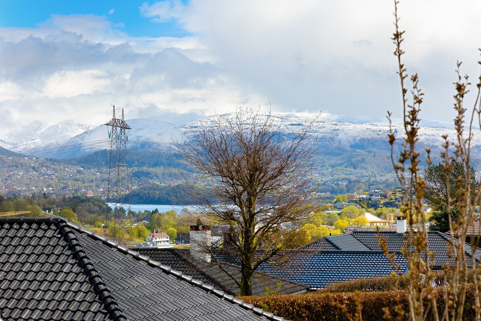 Velkommen til visning! Galleribilde