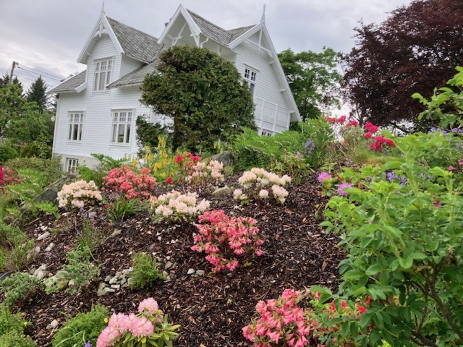 Privat bilde. Galleribilde