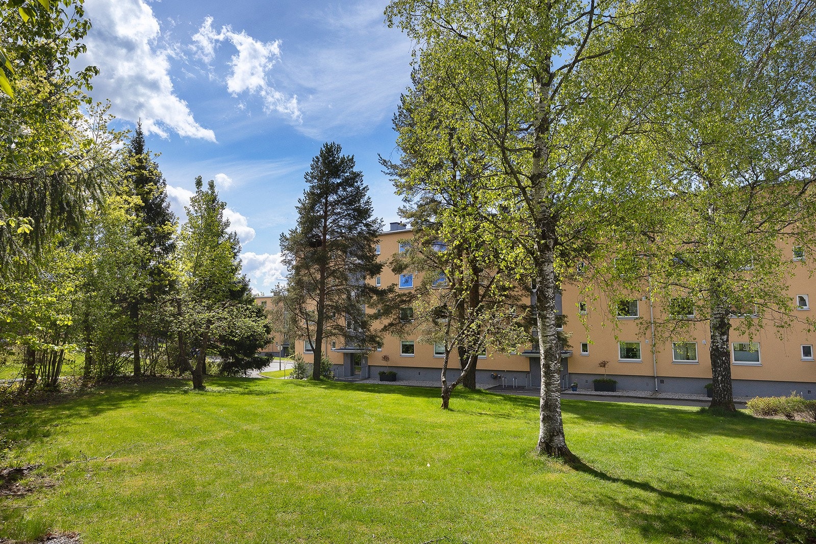 Borettslagets fellesområder. Galleribilde