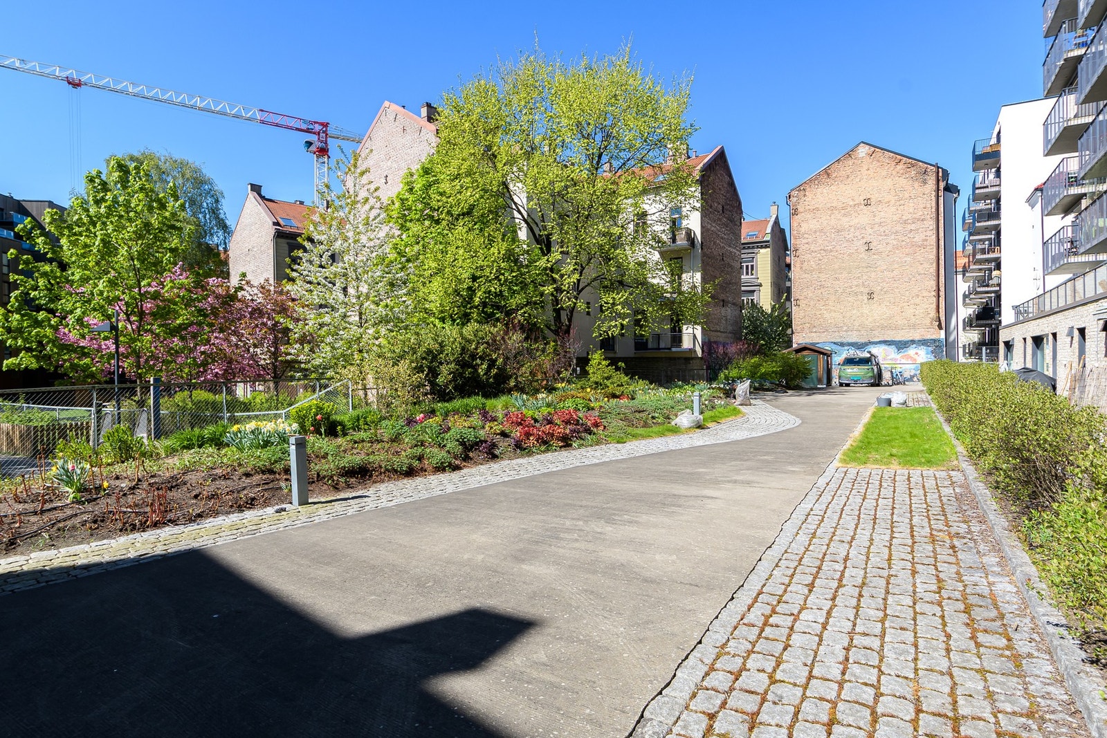 Pent opparbeidet bakgård. Galleribilde
