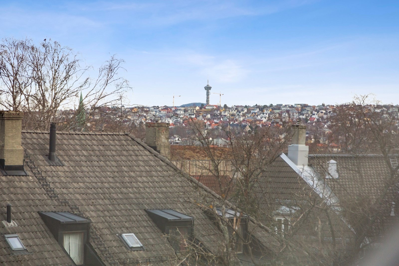Velkommen til en trivelig visning! Galleribilde
