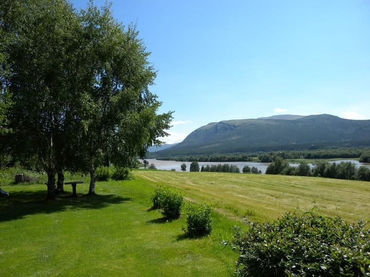 Sommer. Privat bilde. Galleribilde