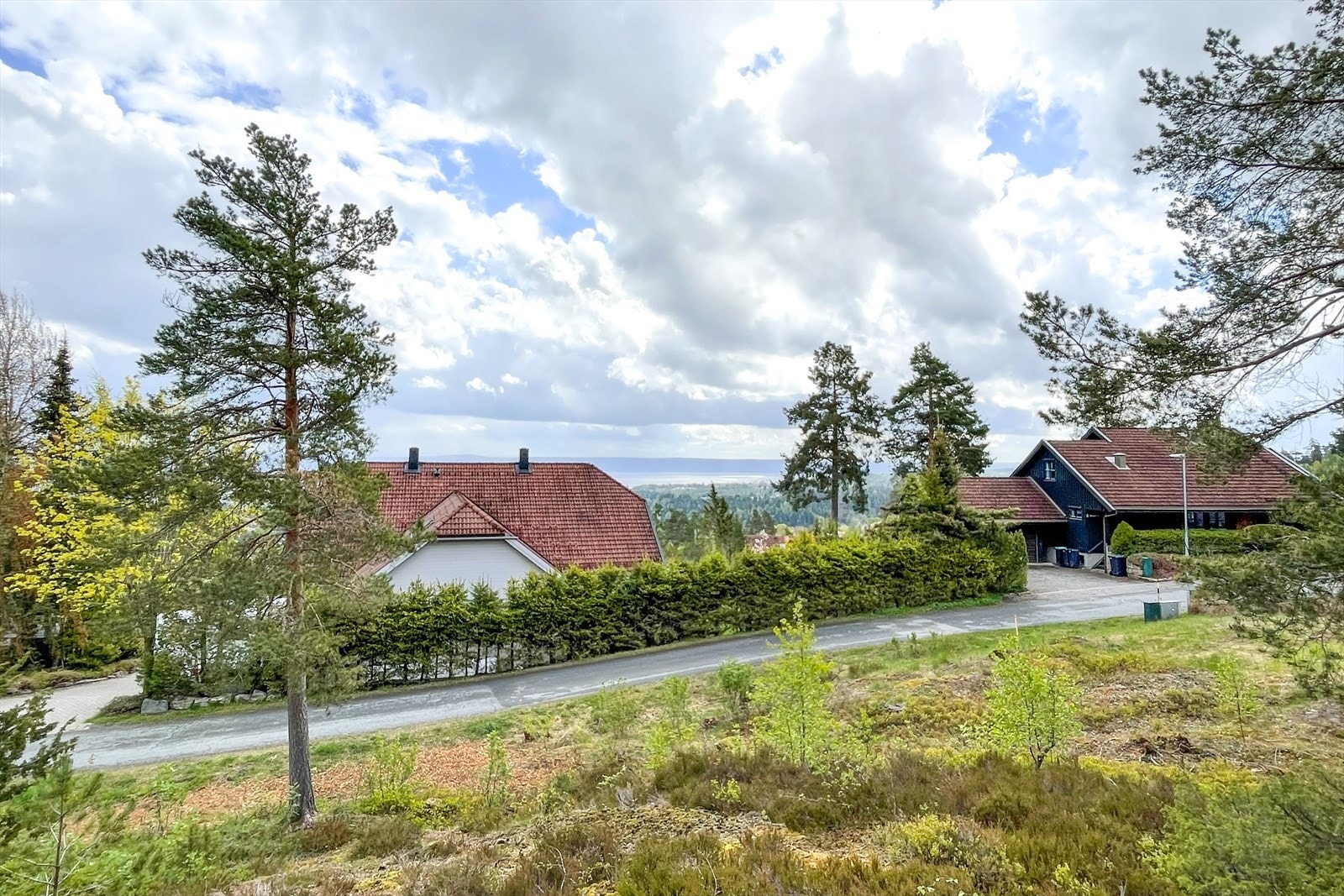 Fjordutsikt mot sør-øst. Utsikt fra bakkeplan. Galleribilde