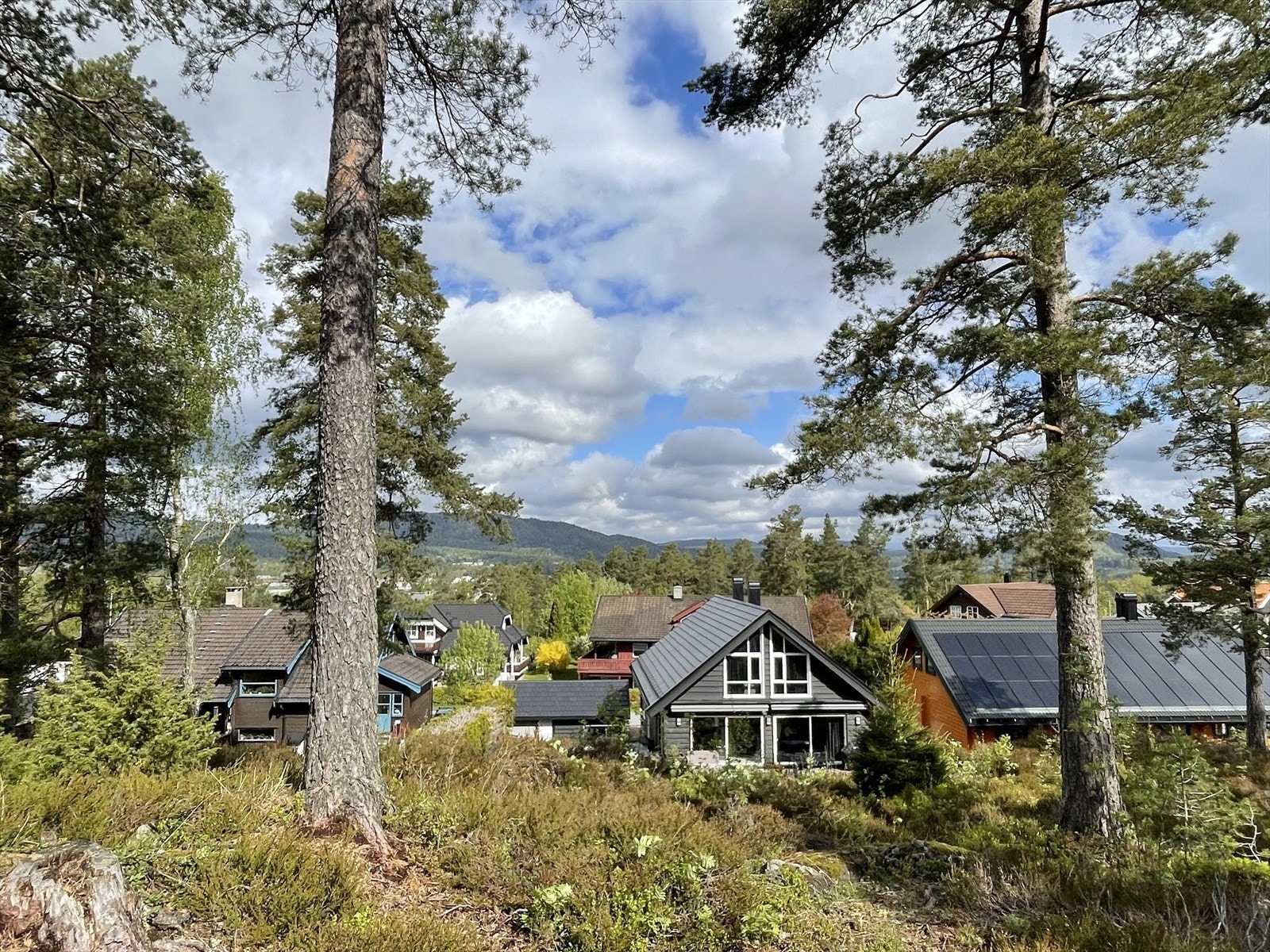 Utsikt mot nord Galleribilde