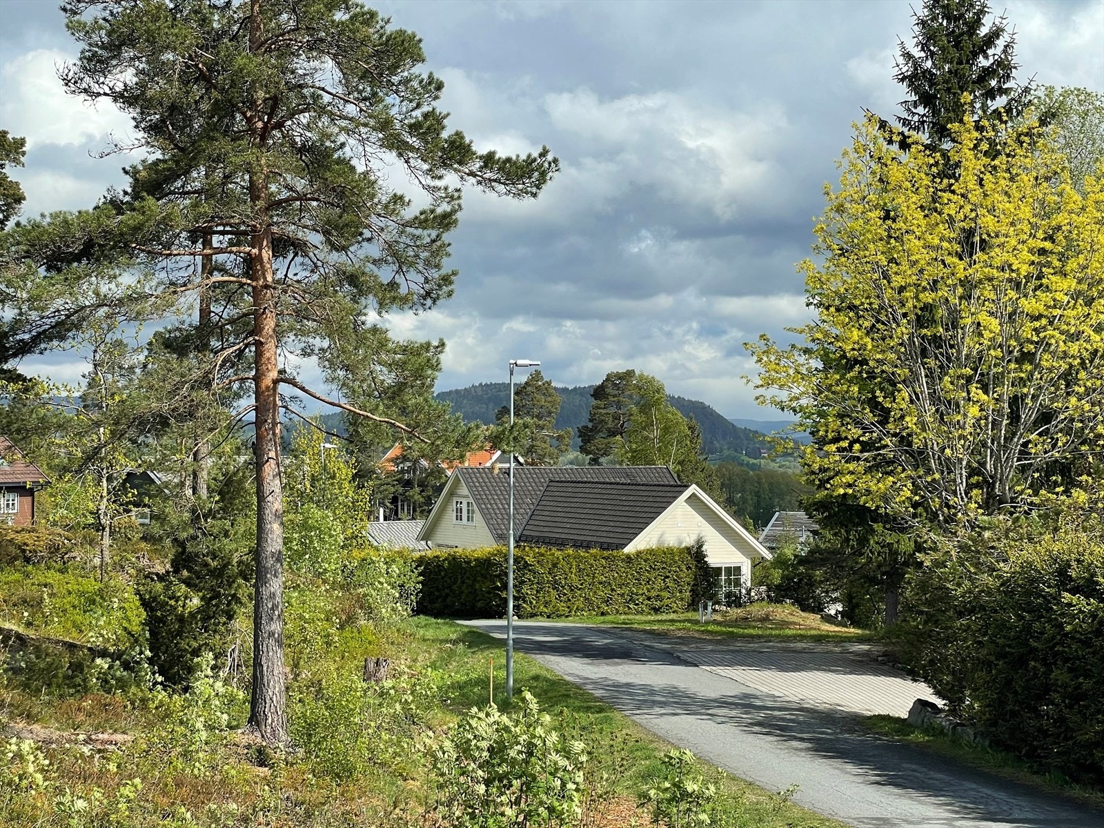 Meget stille område og koselig nabolag. Galleribilde