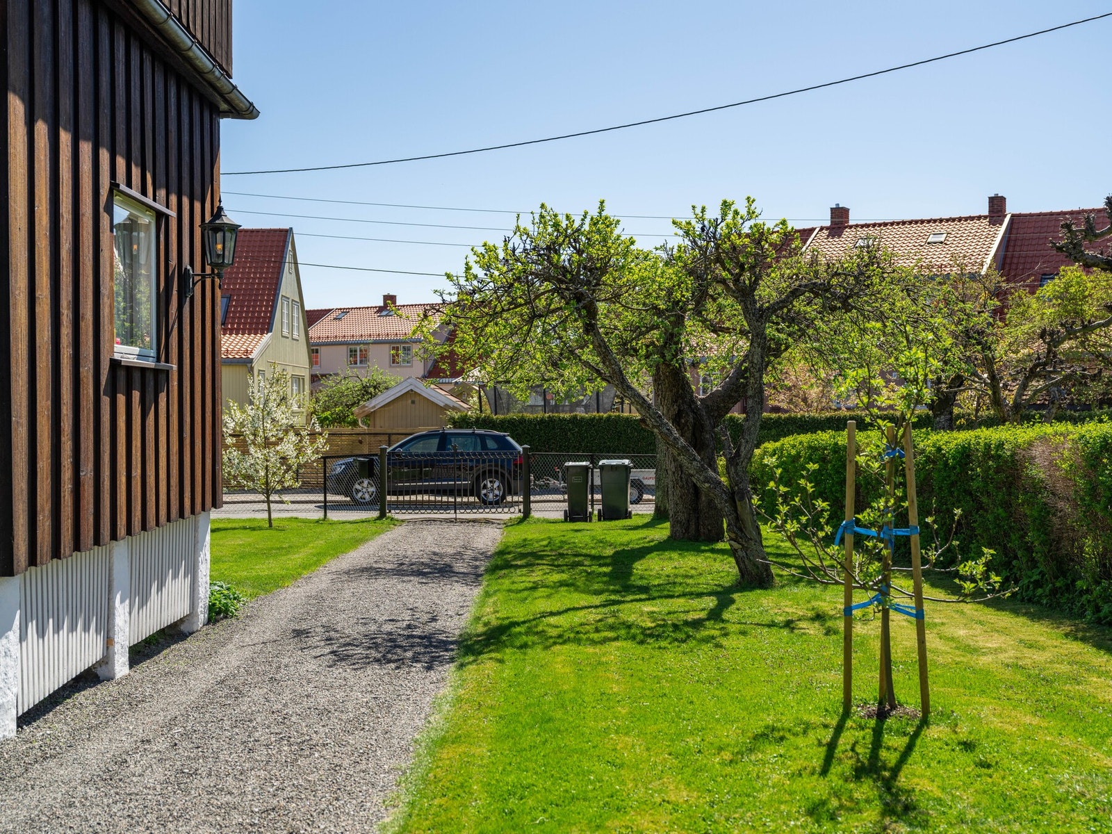 Hyggelig hage Galleribilde