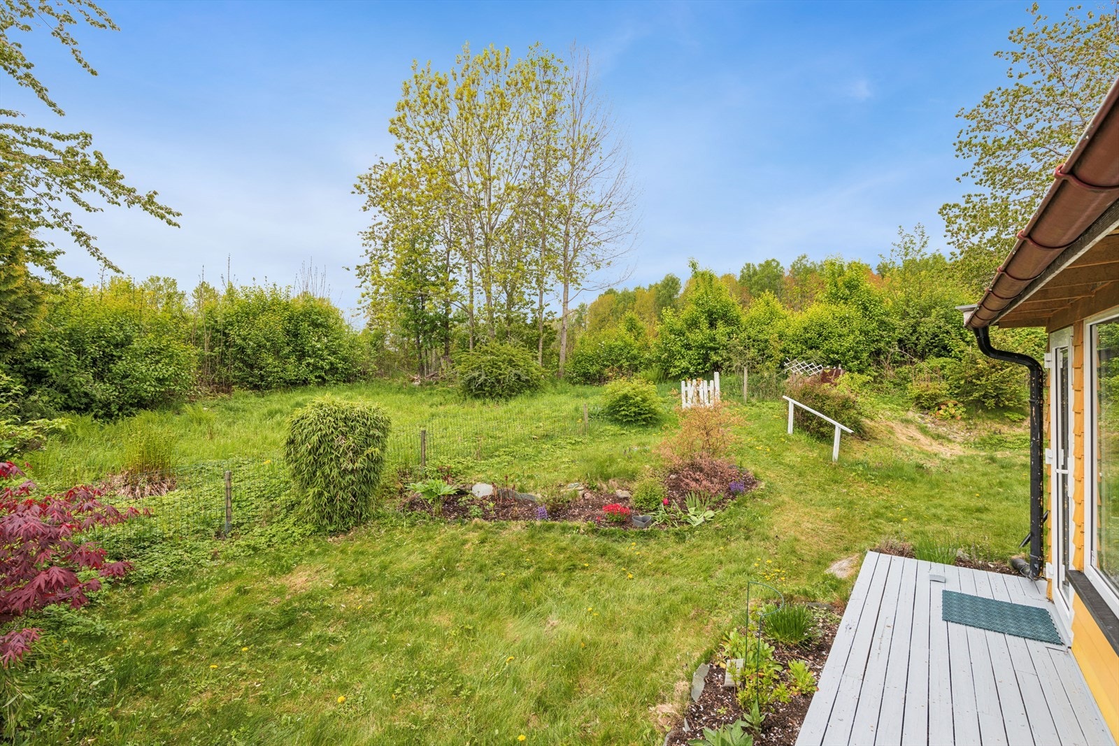 Delvis inngjerdet hage med diverse beplantning. Galleribilde
