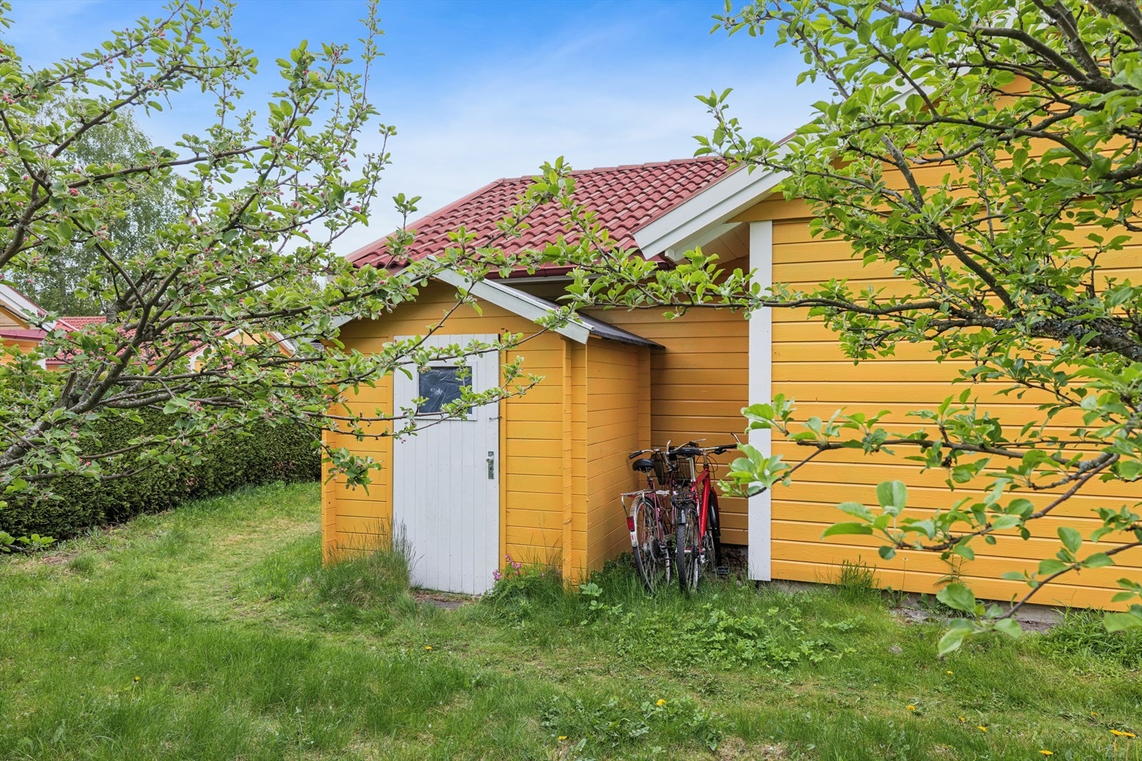 Redskapsbod i hagen Galleribilde