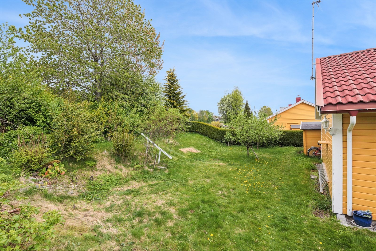 Hyggelig hage som er pent opparbeidet med plen, prydblomster og frukttrær. Galleribilde