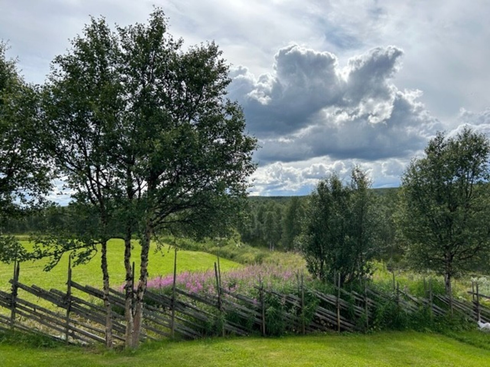Uteområde Galleribilde