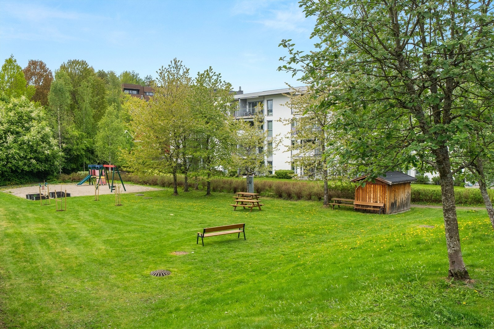 Pent opparbeidet felles tomt med plen, trær, diverse beplantning, lekeplass, sittebenker, asfalterte internveier og gjesteparkering. Galleribilde