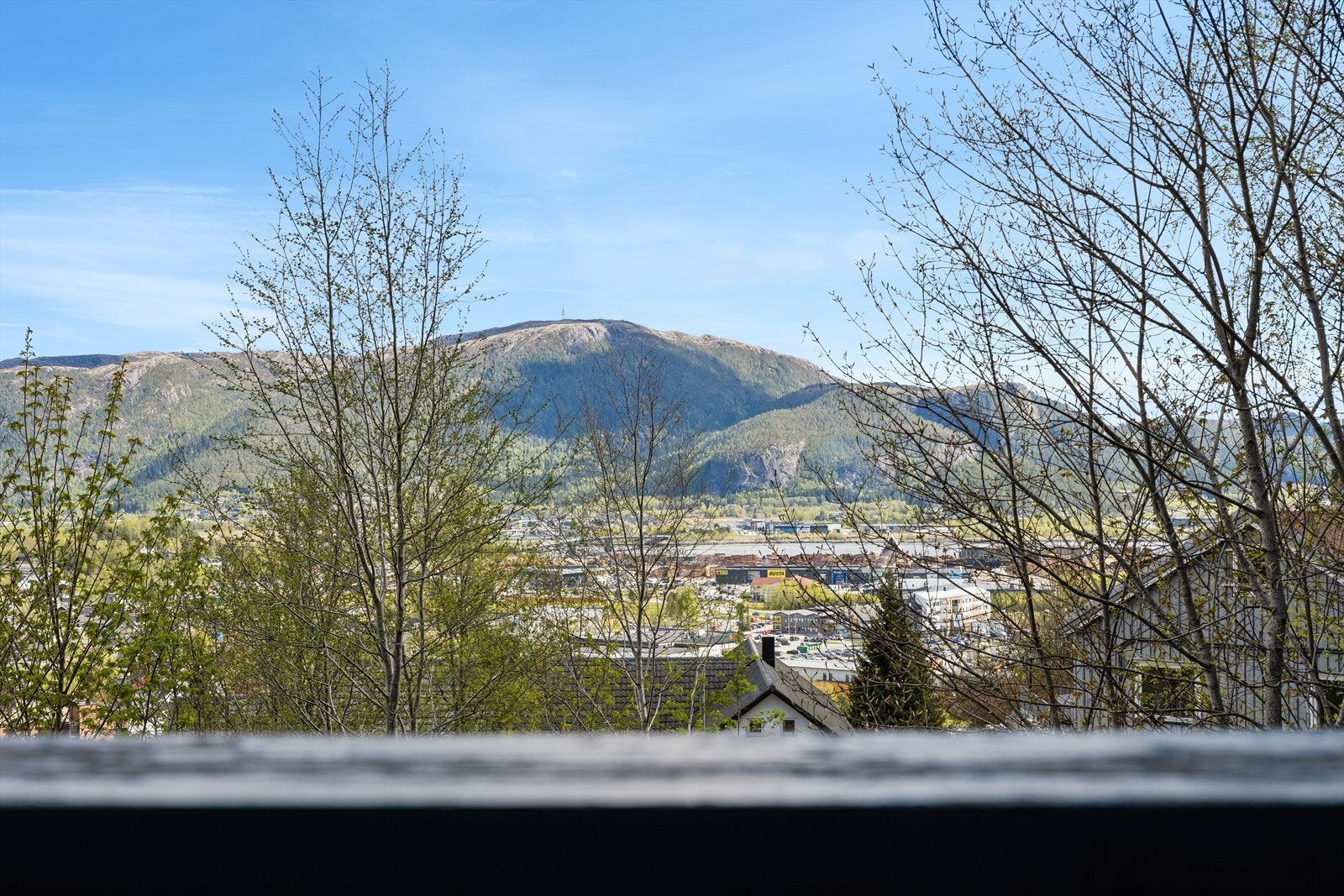 Utsikt mot sør. Galleribilde