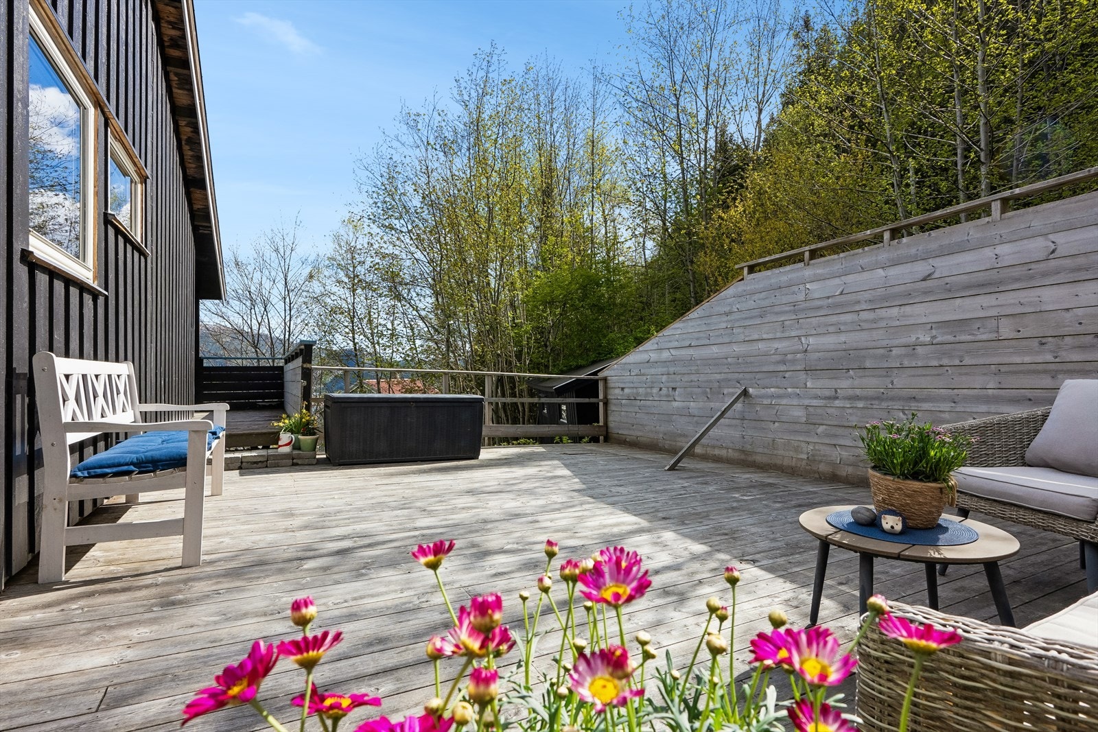 Terrasse Galleribilde