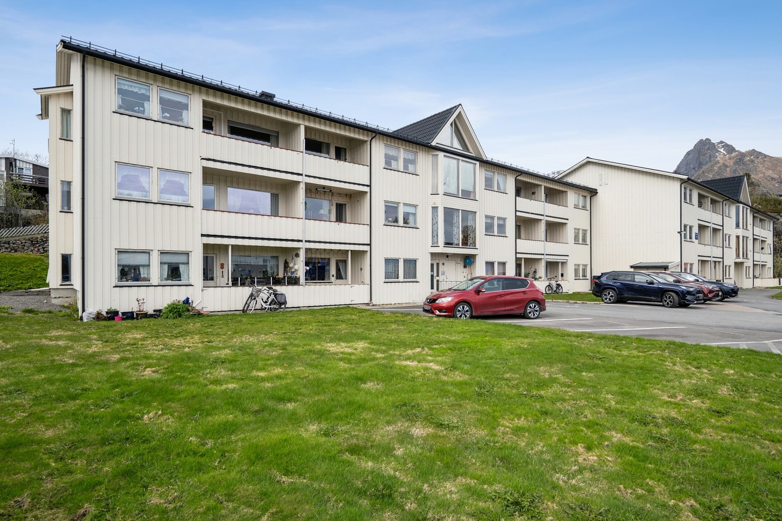Store felles grønnarealer på fremsiden. Galleribilde