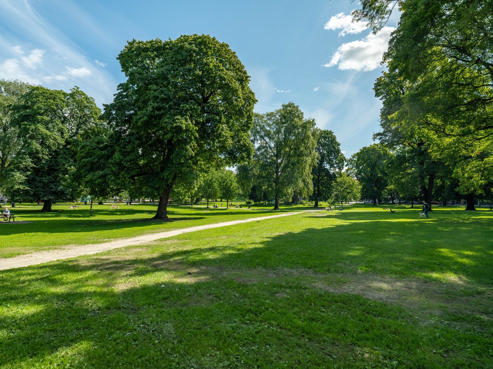 Sofienbergparken er en av mange flotte parker i området. Galleribilde