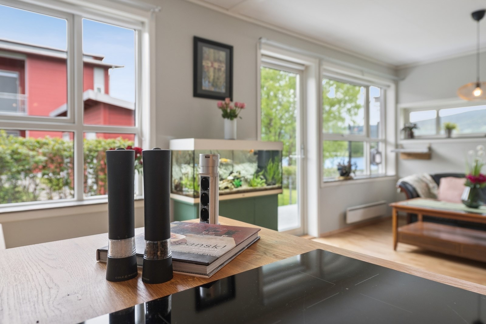 Kokesonen har kjøkkenventilator med avtrekk. Galleribilde