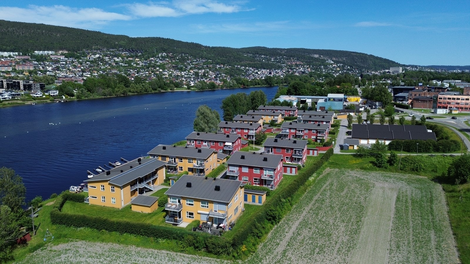 Pent opparbeidede fellesarealer med plener og beplantning. Galleribilde