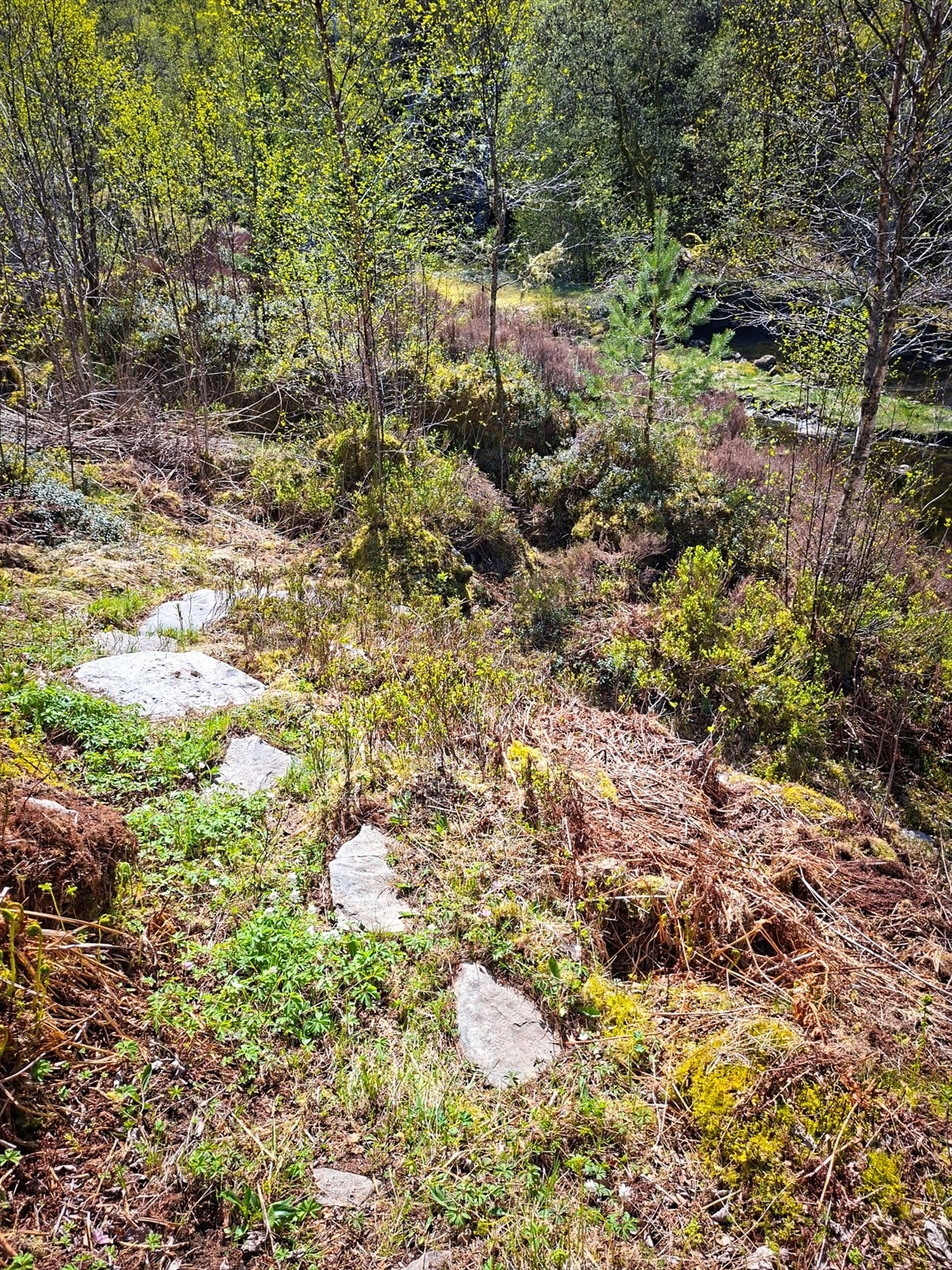 En sti fører ned mot sjøen. Eiendommen ligger kun 25 meter fra vannkanten. Galleribilde