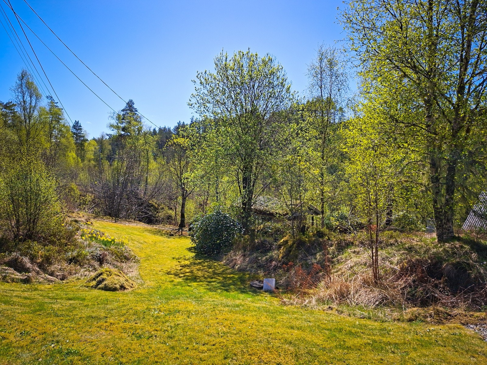 Eiendommen har en landlig og rolig beliggenhet med god avstand til naboer. Galleribilde