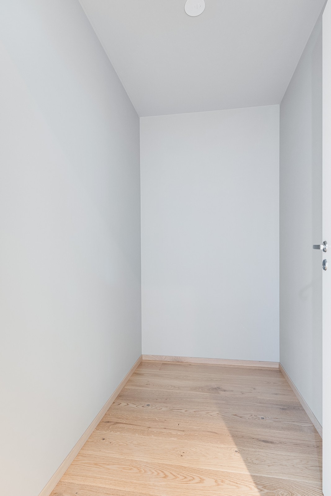 Bod. Galleribilde