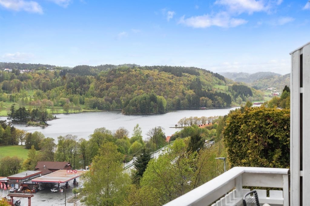 Flott utsikt over Skogsfjorden Galleribilde
