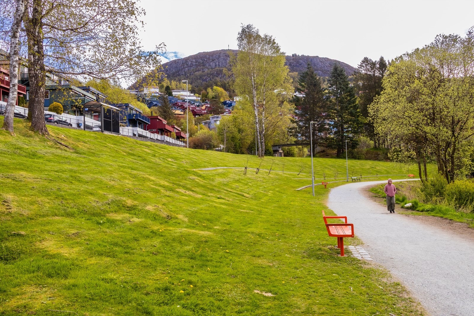 - Gode turmuligheter som Løvstakken og Kanadaskogen, eller rundt vannet - Galleribilde