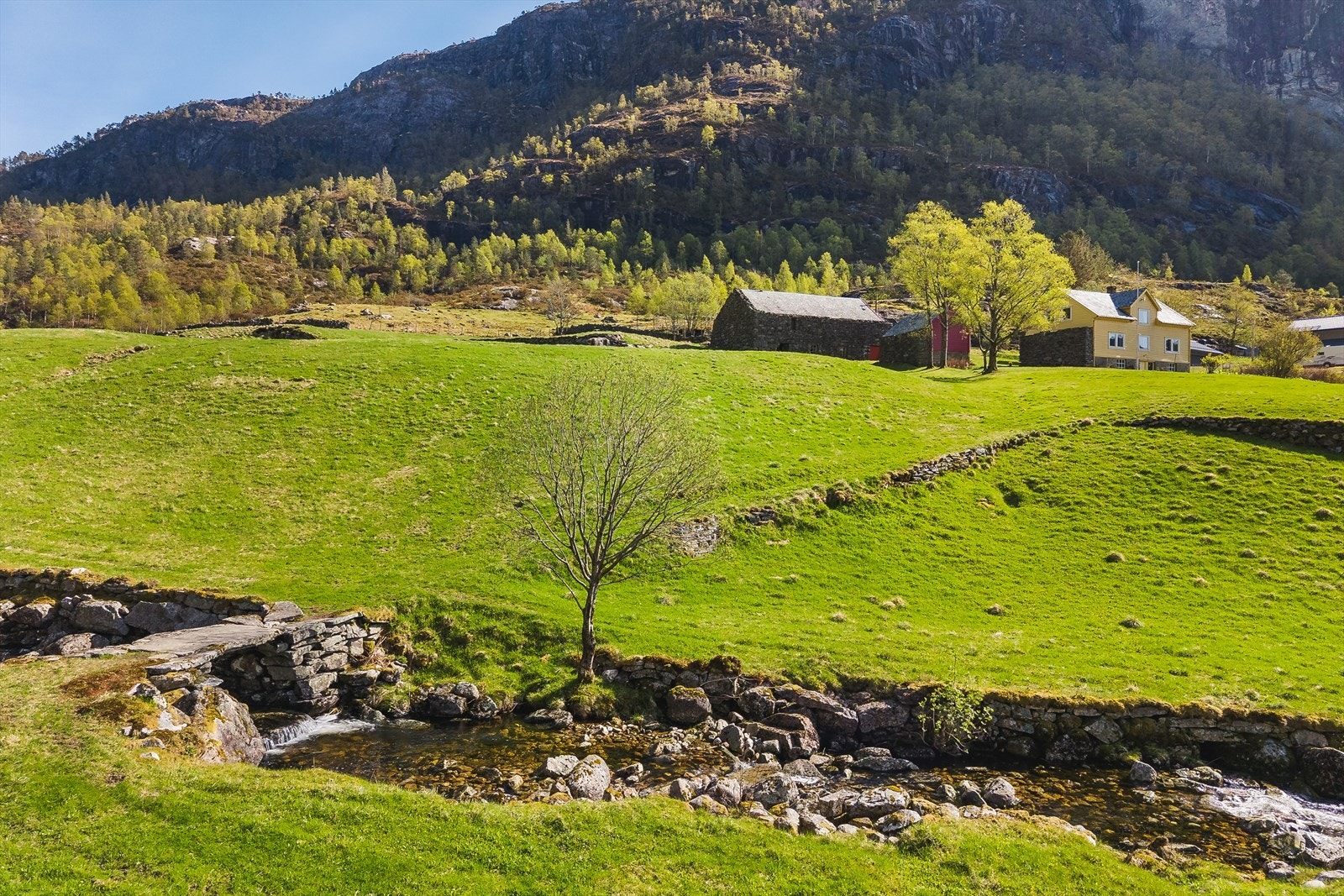 Eiendommen har en naturskjønn beliggenhet Galleribilde