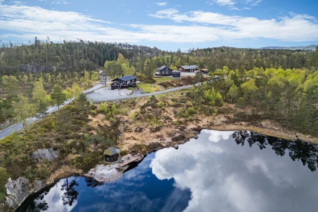 Nærområdet Galleribilde