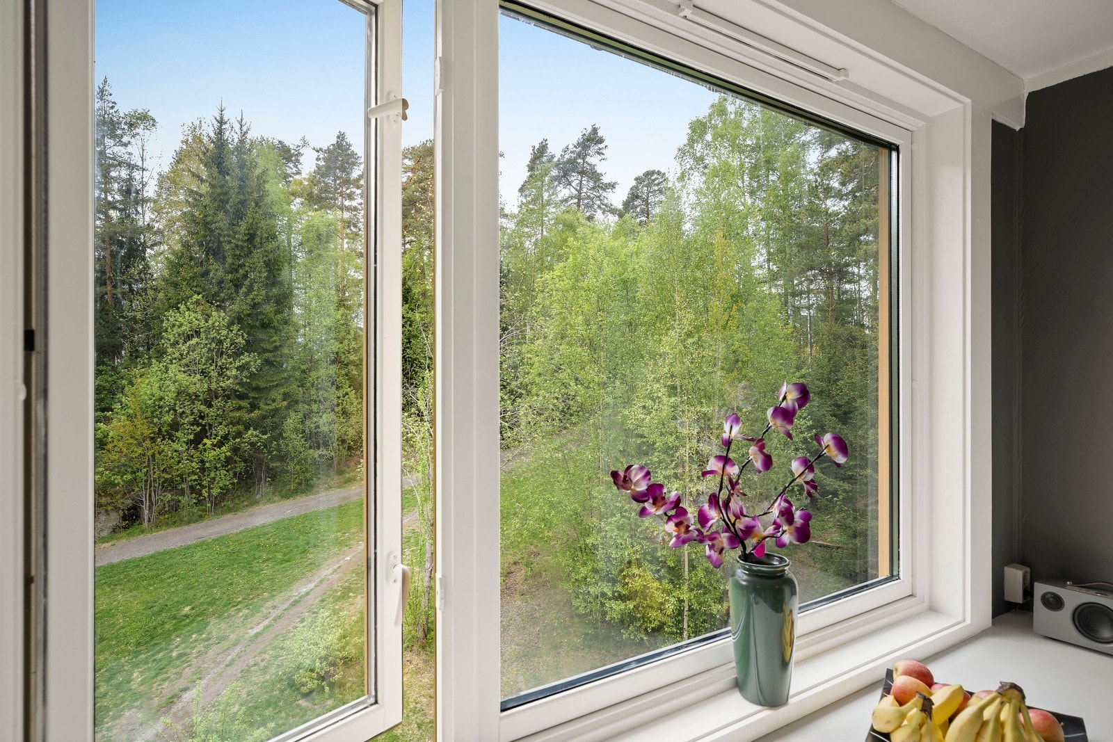 Fra kjøkkenvinduet har man utsikt ut mot skogen. Galleribilde