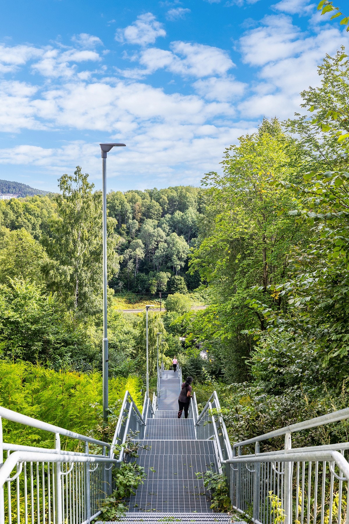 Frysjatrappa Galleribilde