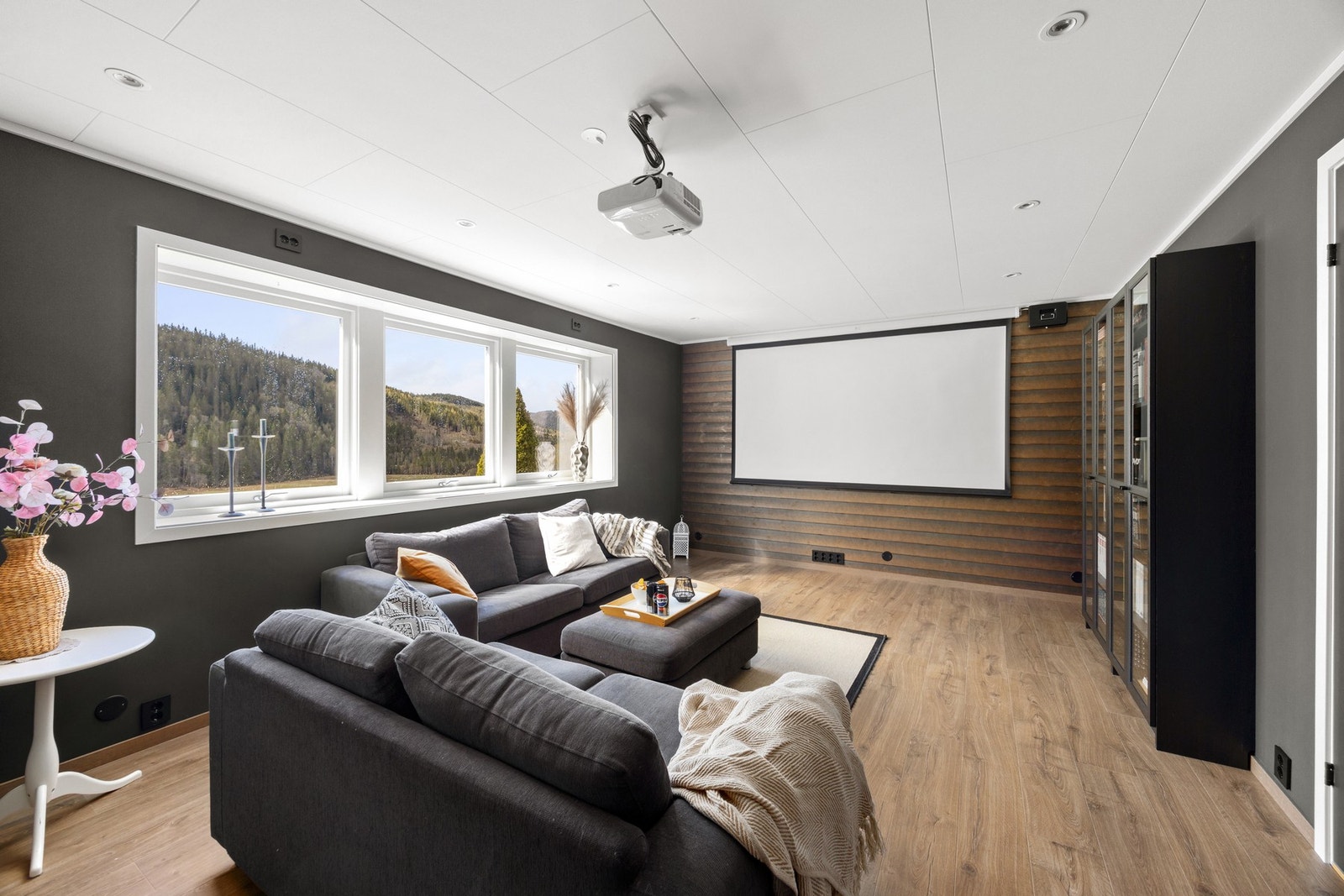 Kjellerstue. Projektor/lerret medfølger ikke i handelen. Galleribilde
